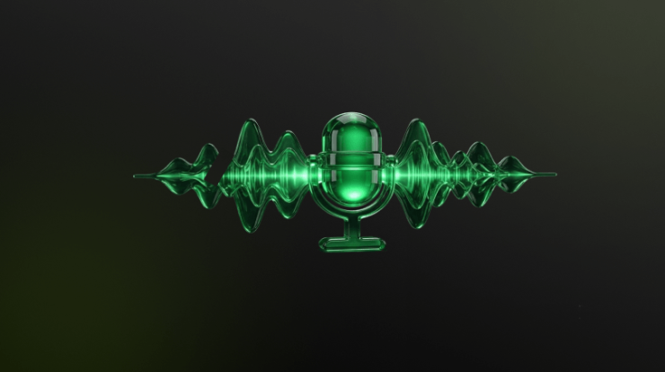 How to Optimize Your Website for Voice Search SEO?